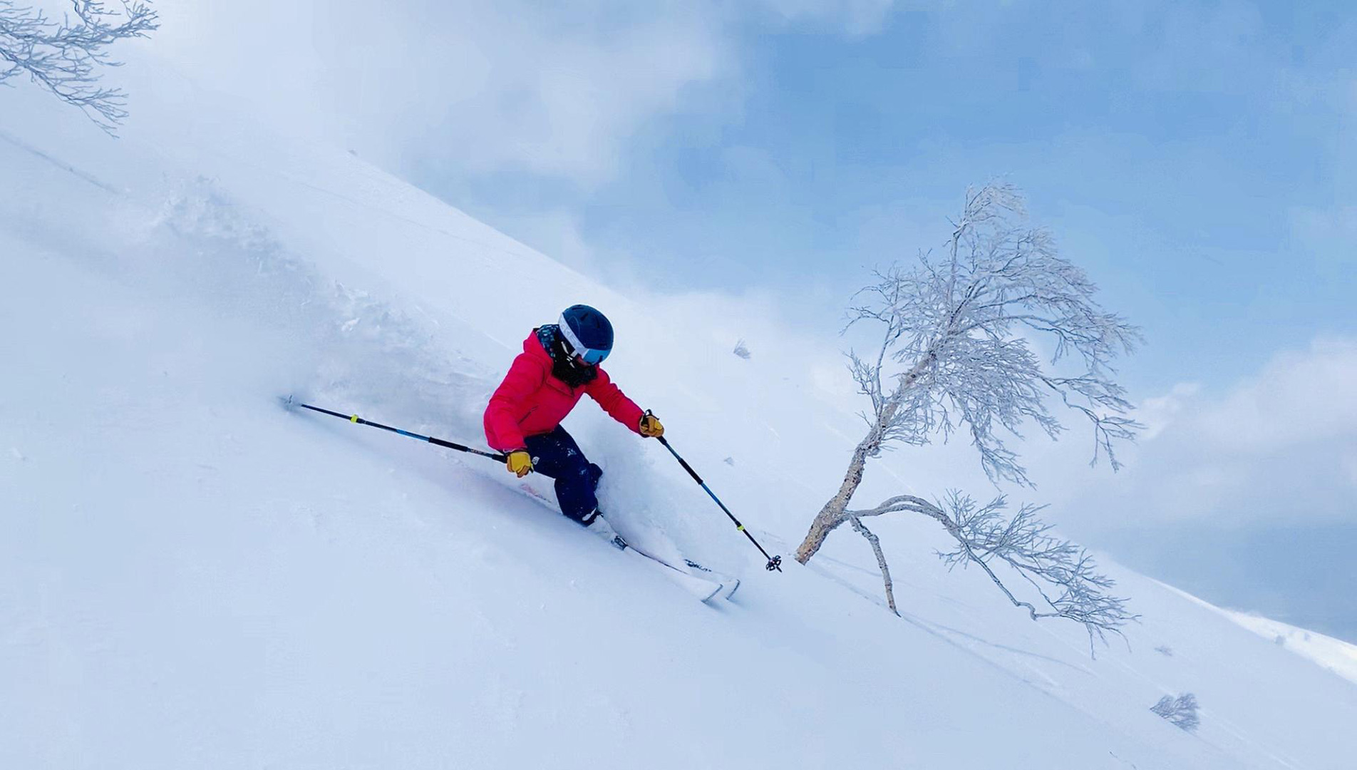 Rossignol Shop -Rossignol Shop 2