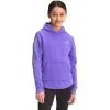 The North Face Camp Fleece Hoodie - Kids -Rossignol Shop NF0A5GM8EEJ 1